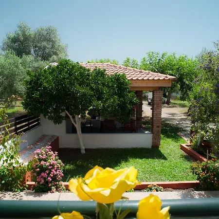 Apartment Marmaron *